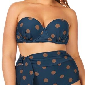 Raisins Curve Bikini Retro Vintage Style